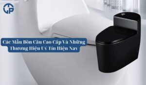 bồn cầu cao cấp