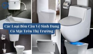các loại bồn cầu vệ sinh 1