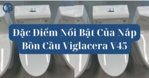 Đặc Điểm Nổi Bật Của Nắp Bồn Cầu Viglacera V45