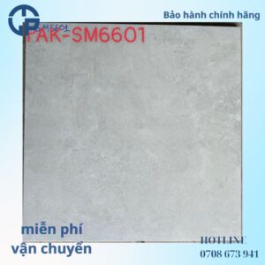 125K-gach-60x60-PAK-SM6601