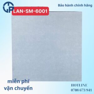 125K-gach-60x60-pak-lan-sm-6001