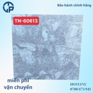 135K-gach-60x60-lan-tn60613