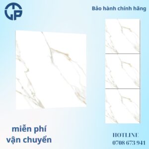 135k-Gạch-60x60-PANCERA-QH6001