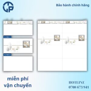 142k-gach-40x80-nlp-tlp4800v1