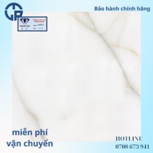 148K-gach-60x60-nhl-60817