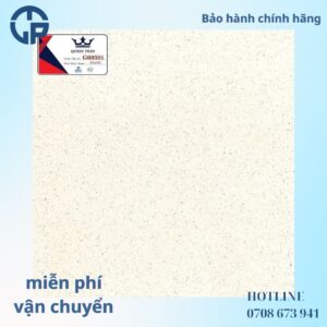 148K-gach-60x60-nhl-t60301