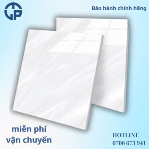 158K Gạch 60x60 NLP 6806