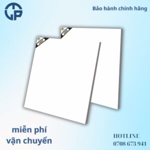 160K Gạch 60x60 BT L6600