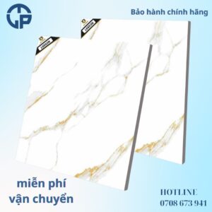 160K Gạch 60x60 BT L6603N