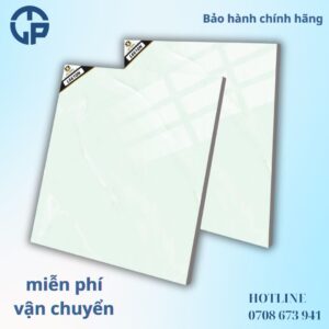 160K Gạch 60x60 BT L6610N