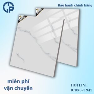 160K Gạch 60x60 BT TQA 66601N