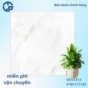 160K Gạch 60x60 MIKADO TP6005