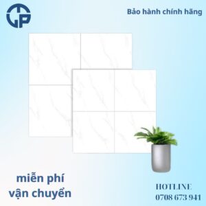 160K Gạch 60x60 MIKADO TP8028