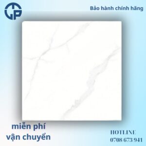 160K Gạch 60x60 UNIMAX 26904