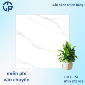 160K-gach-60x60-MIKADO-tp6015