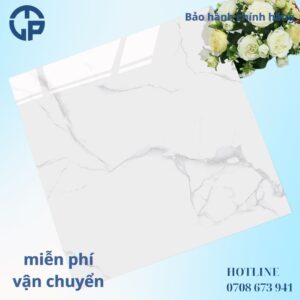 163K Gạch 60x60 TK6637