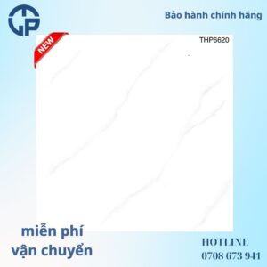 165K Gạch 60x60 thp6620