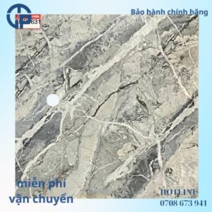 165K-gach-60x60-thp-6631