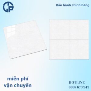 165k_gach_80x80_PANCERA_MQ8204