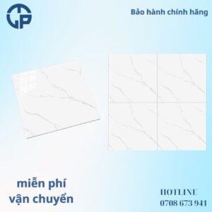 165k_gach_80x80_PANCERA_QH8001