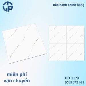 165k_gach_80x80_PANCERA_QH8002