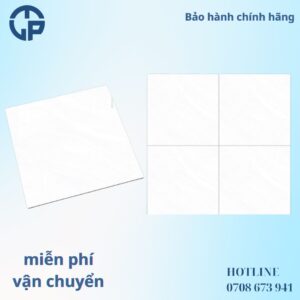 165k_gach_80x80_PANCERA_QH8003