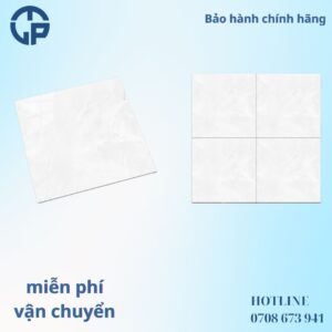 165k_gach_80x80_PANCERA_QH8005