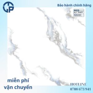 168K gạch 60x60 FICO cpp6615