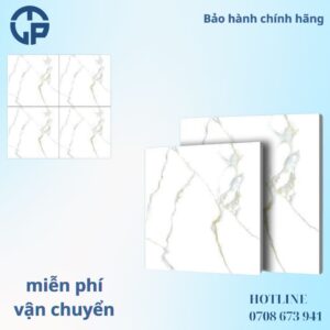 168K gạch 60x60 FICO fp6117