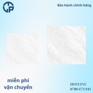 172K_gach_80x80_CTL (2)