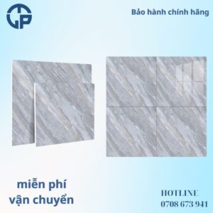 176K_gach_80x80_CV_OM6904