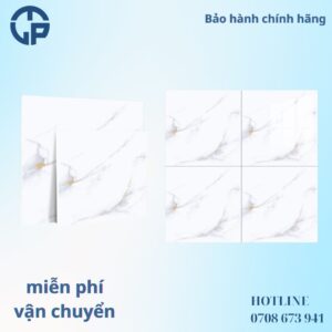 176K_gach_80x80_CV_OM6906