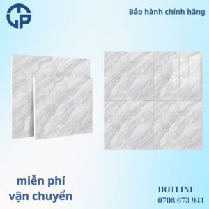 176K_gach_80x80_CV_OM6907