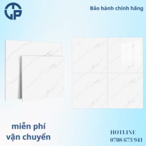 176K_gach_80x80_CV_OM6914