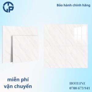 176K_gach_80x80_CV_OM6918