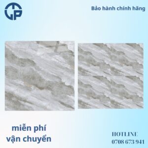 176K_gach_80x80_CV_OM8911