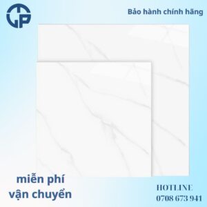 176K_gach_80x80_LAN_6603