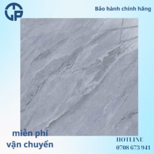 178K_gach_80x80_NHL_MT80429_MT60429