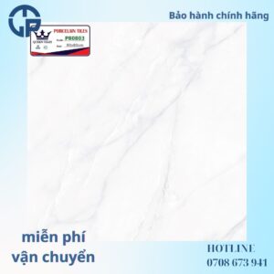 178K_gach_80x80_NHL_P80803