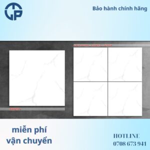 99k-gach-60x60-pak-qh6009.jpg